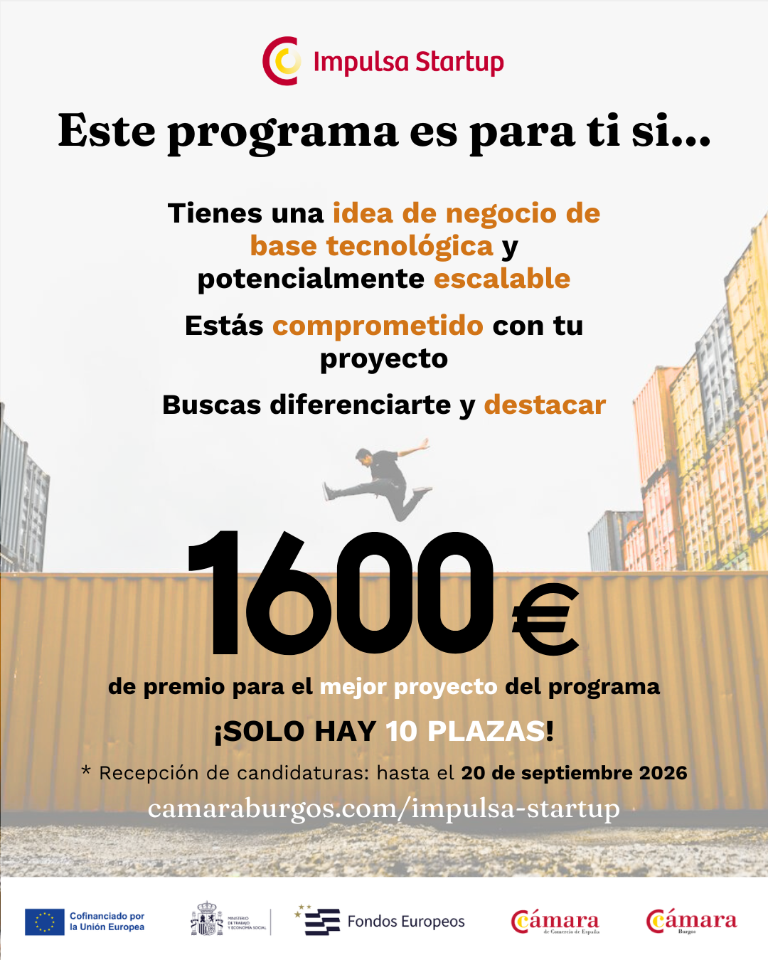 New Collection